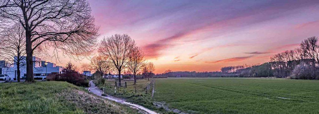 TO-2025-04-09-13-HDR-2