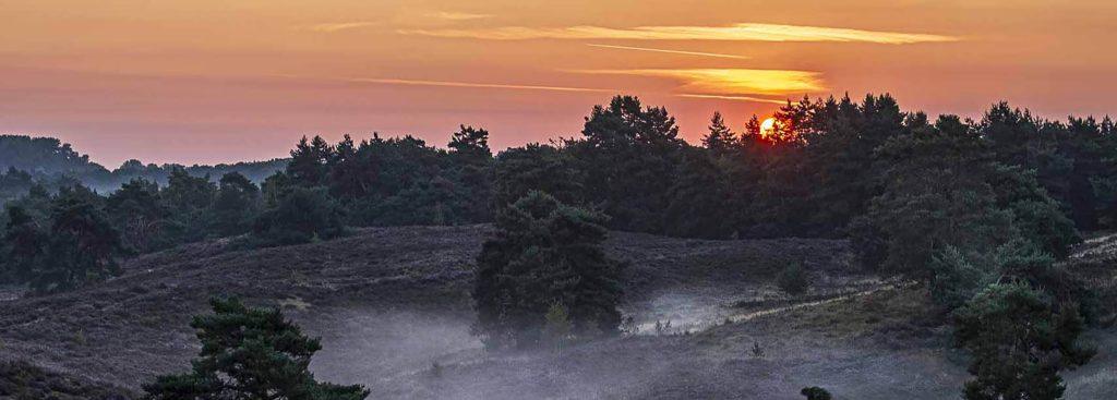 TO-2025-08-10-11-HDR